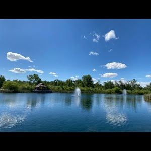 Meet your Posher, Anu